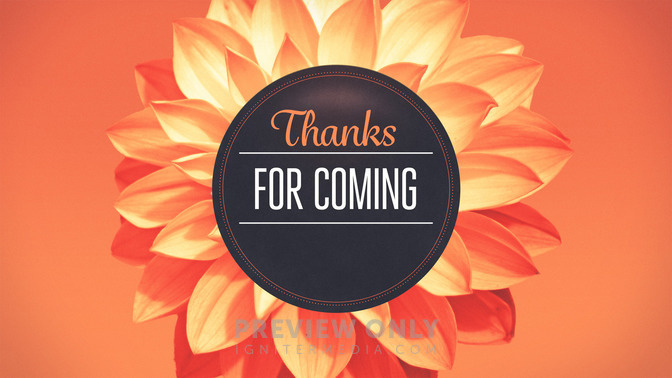Flowers_-_Thanks_For_Coming_16x9-TITLE-2#preset=tg_title2.jpg