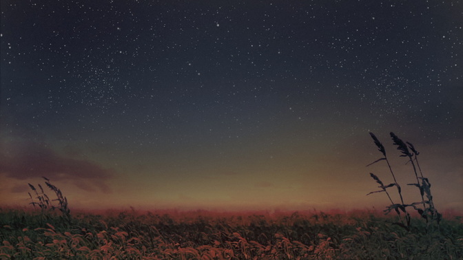 Starry_Night_Wheat_HD.jpg