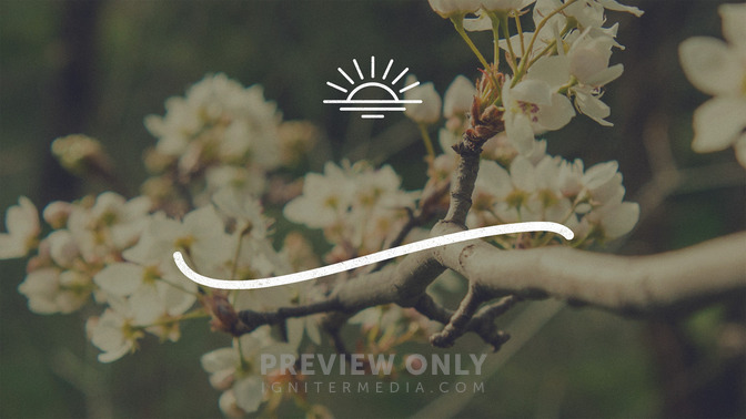 Blossoms_-_Welcome_16x9-TITLE-3#preset=tg_title3.jpg