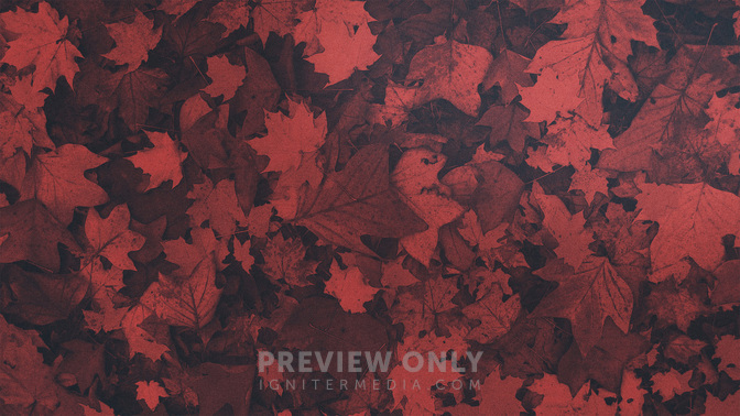 Brushed_Leaves-Upcoming_WIDE-BACKGROUND#preset=tg_bg.jpg