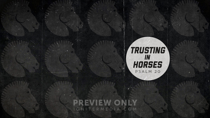 trusting in horses