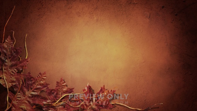 Fall_02_16x9.jpg