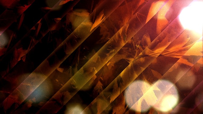 Fall_Leaves_Rays_16x9.jpg