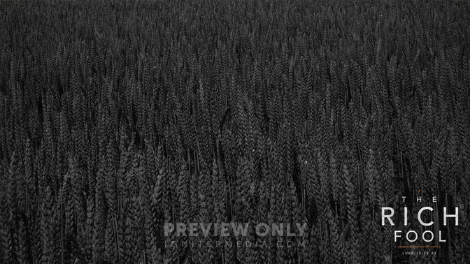 The_Rich_Fool_16x9-CONTENT-1#preset=tg_alt1.jpg
