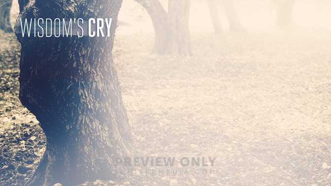 Wisdoms_Cry_16x9-CONTENT-2#preset=tg_alt2.jpg