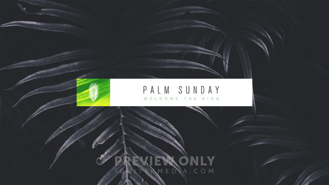 monochrons - palm sunday