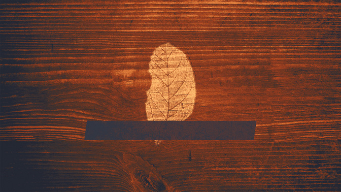 Wood_Leaves-Welcome_WIDE-TITLE-3#preset=tg_title3.jpg