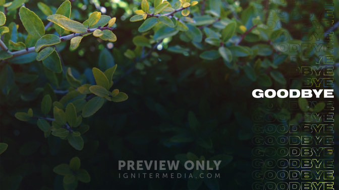 Goodbye-WIDE#preset=tg_alt1.jpg
