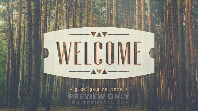 forest morning - welcome