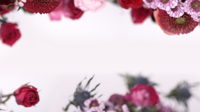 Spring_Floral_Flowers_Overhead_HD.jpg