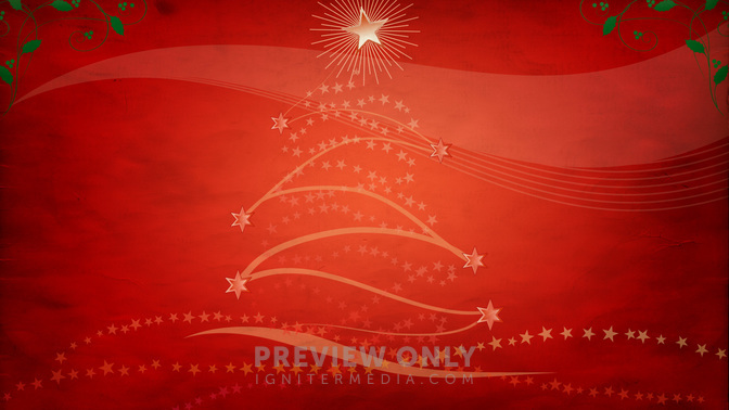 christmas tree_WIDE.jpg