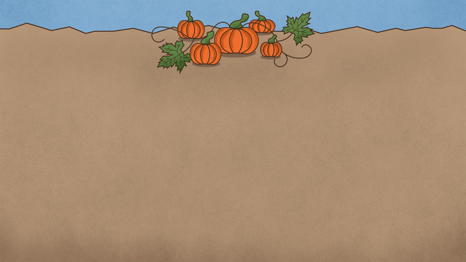 Pumpkin_Patch_WIDE-BACKGROUND#preset=tg_bg.jpg