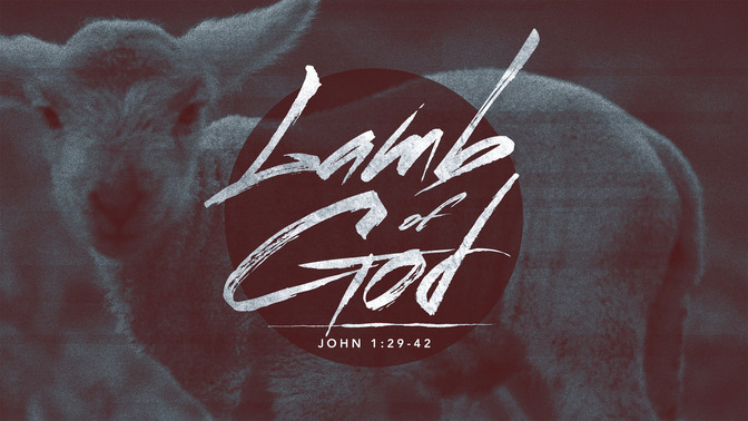lamb of god