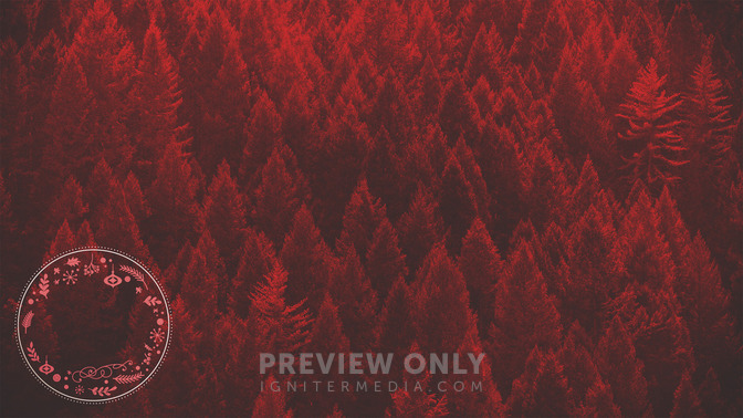 Colorized_Christmas_-_Merry_Christmas_16x9-CONTENT-3#preset=tg_alt3.jpg