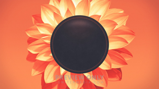 Flowers_-_Thanks_For_Coming_16x9-TITLE-3#preset=tg_title3.jpg