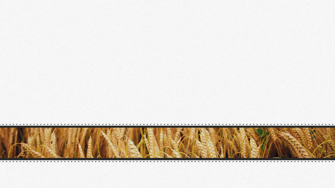 Satisfied_With_His_Goodness_16x9-TITLE-3#preset=tg_title3.jpg