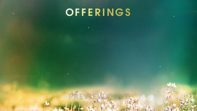 Offering_Fields_of_Bloom_WIDE-CONTENT-2#preset=tg_alt2.jpg
