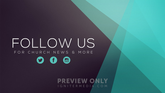 color silk - follow us
