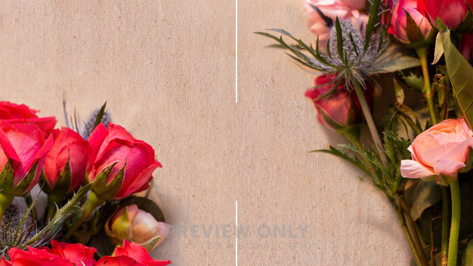 Thank-You-Moms-Spanish-WIDE#preset=tg_title3.jpg
