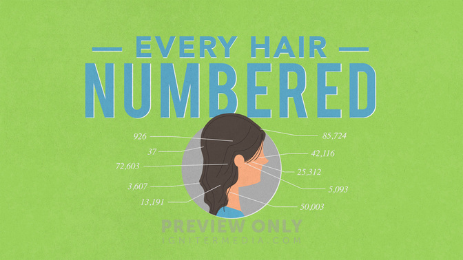 Every_Hair_Numbered_WIDE-TITLE-2#preset=tg_title2.jpg