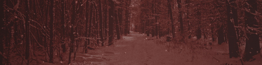 Muted_Christmas_Red_MS_1920x480.jpg