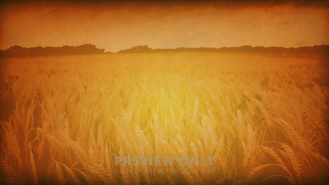 See_You_Soon_16x9-BACKGROUND#preset=tg_bg.jpg