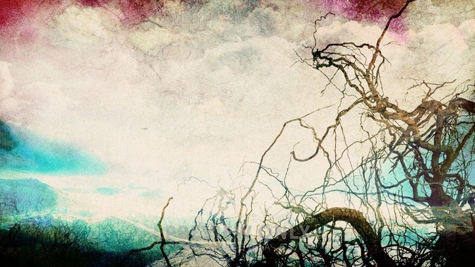 Roots_White_16x9.jpg