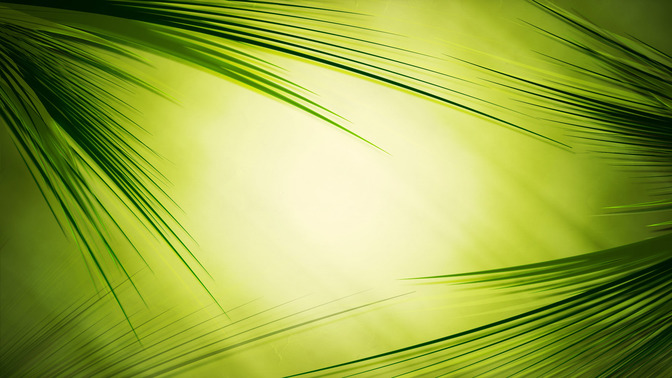 Palm_Sunday_Service_16x9-TITLE-3#preset=tg_title3.jpg