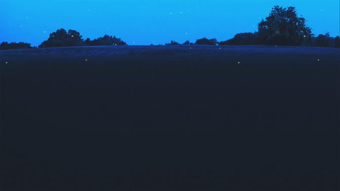 Welcome-WIDE#preset=tg_alt2.jpg