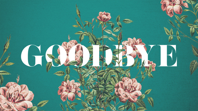 floral burst - goodbye