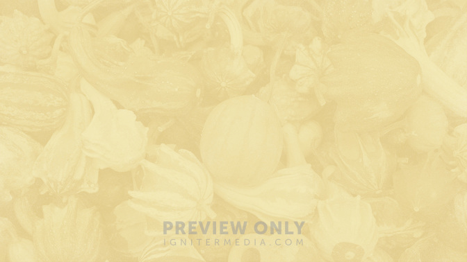 Thanksgiving_Meal_Donation_WIDE-BACKGROUND#preset=tg_bg.jpg