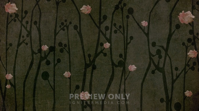 Cherry_Blossom_Brown_16x9.jpg