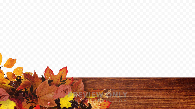 Offering-WIDE#preset=tg_transparent_png_preview.jpg