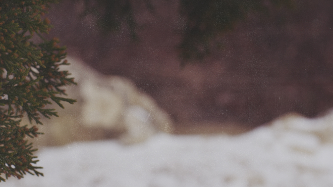 Winter_Rocks_Branches_720p_Preview.jpg