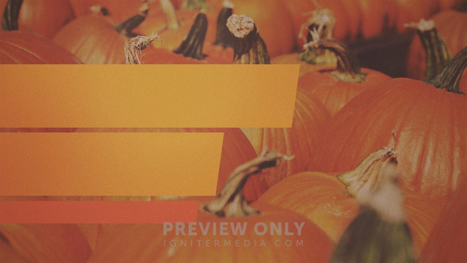 Pumpkin_Patch_16x9-TITLE-3#preset=tg_title3.jpg