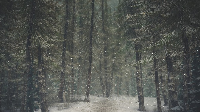 Winter_Wonderland_4_HD.jpg