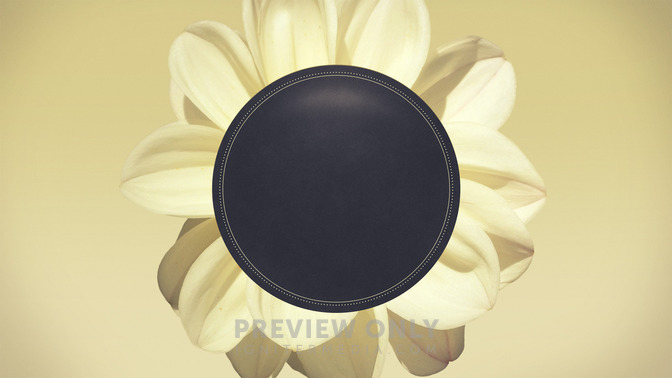 Flowers_-_Whats_Happening_16x9-TITLE-3#preset=tg_title3.jpg