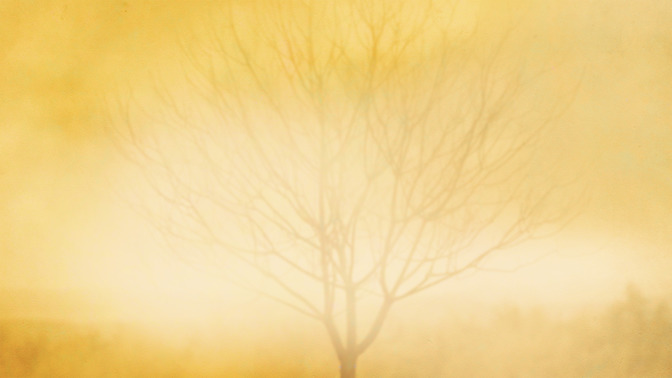 La_Higuera_Estril_16x9-BACKGROUND#preset=tg_bg.jpg