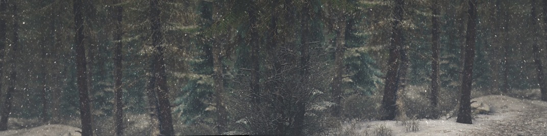 winter wonderland 3