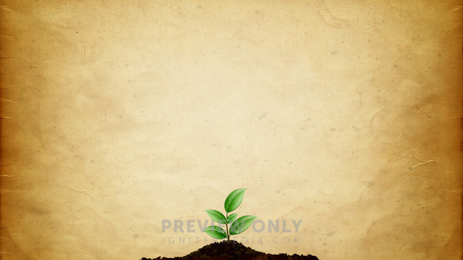 New_Beginnings_16x9-BACKGROUND#preset=tg_bg.jpg