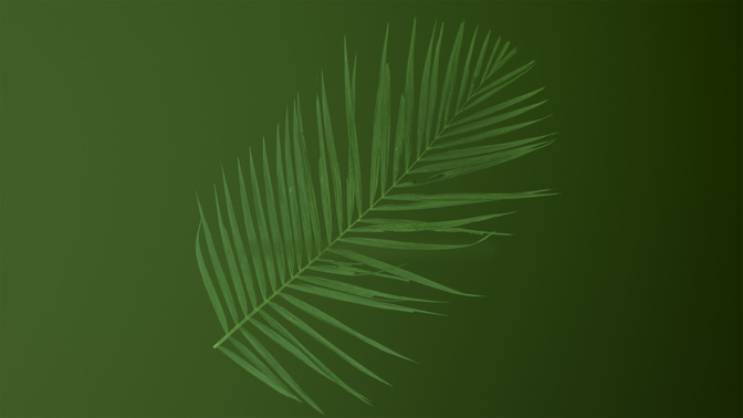 PalmGoodbye-WIDE#preset=tg_title3.jpg