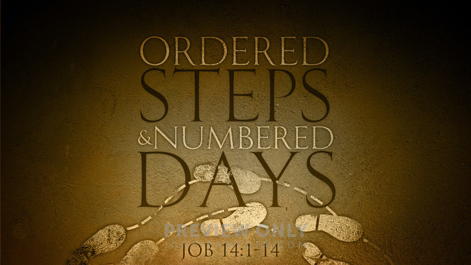 ordered steps & numbered days