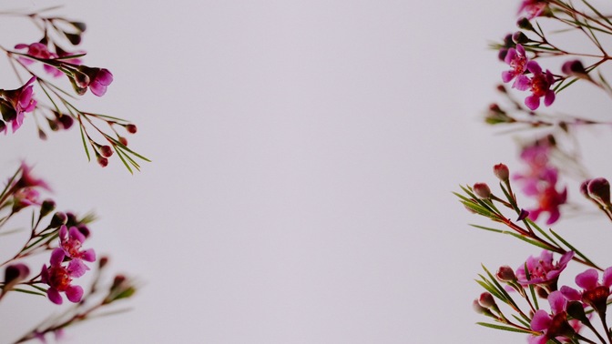 floral details - 4