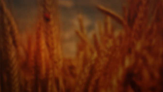 Thanksgiving_16x9-CONTENT-3#preset=tg_alt3.jpg