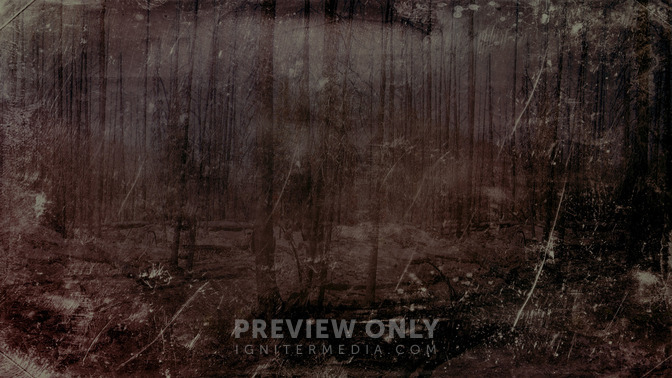 The_Danger_of_a_Cynic_16x9-BACKGROUND#preset=tg_bg.jpg