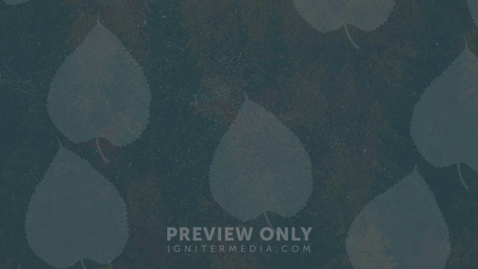 Give_02_HD.jpg
