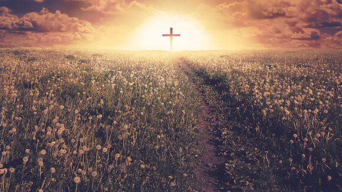 Way_of_the_Cross_16x9-TITLE-3#preset=tg_title3.jpg