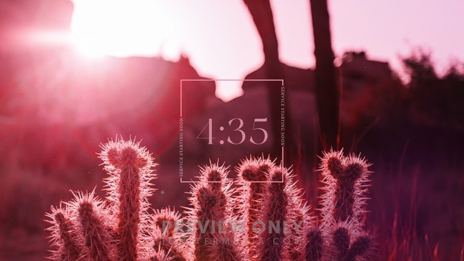 Desert_Pink_Countdown_03_HD.jpg