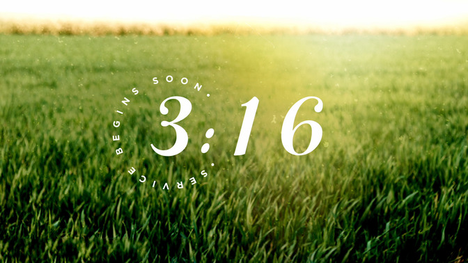 July Fields_Countdown_HD.jpg