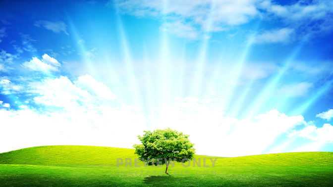 grassy field_WIDE.jpg